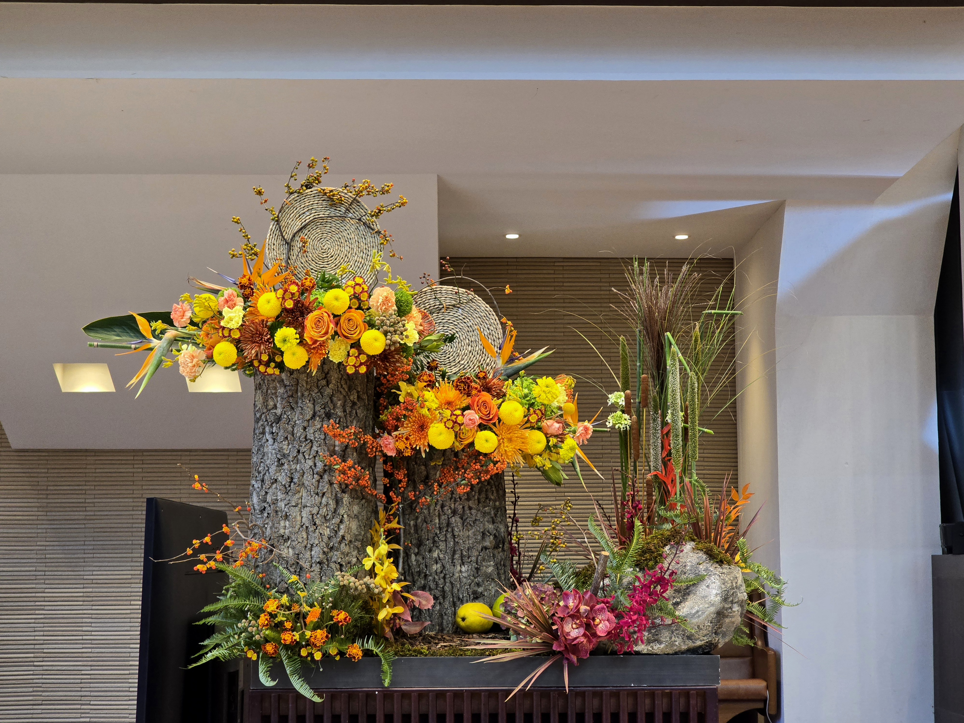 2025년 11월 첫째주 본당