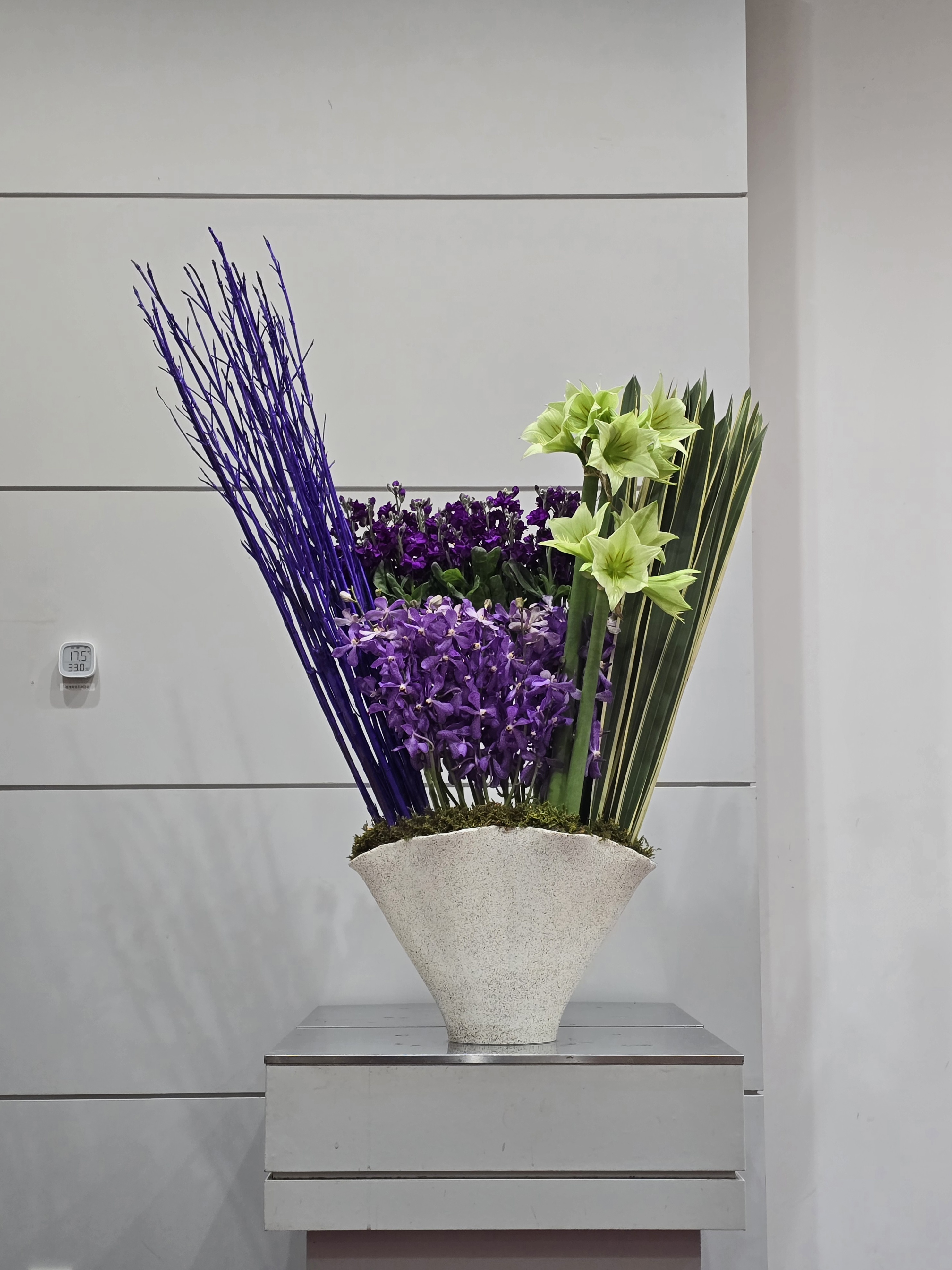 2025년 11월 다섯째주 본당 1예배실