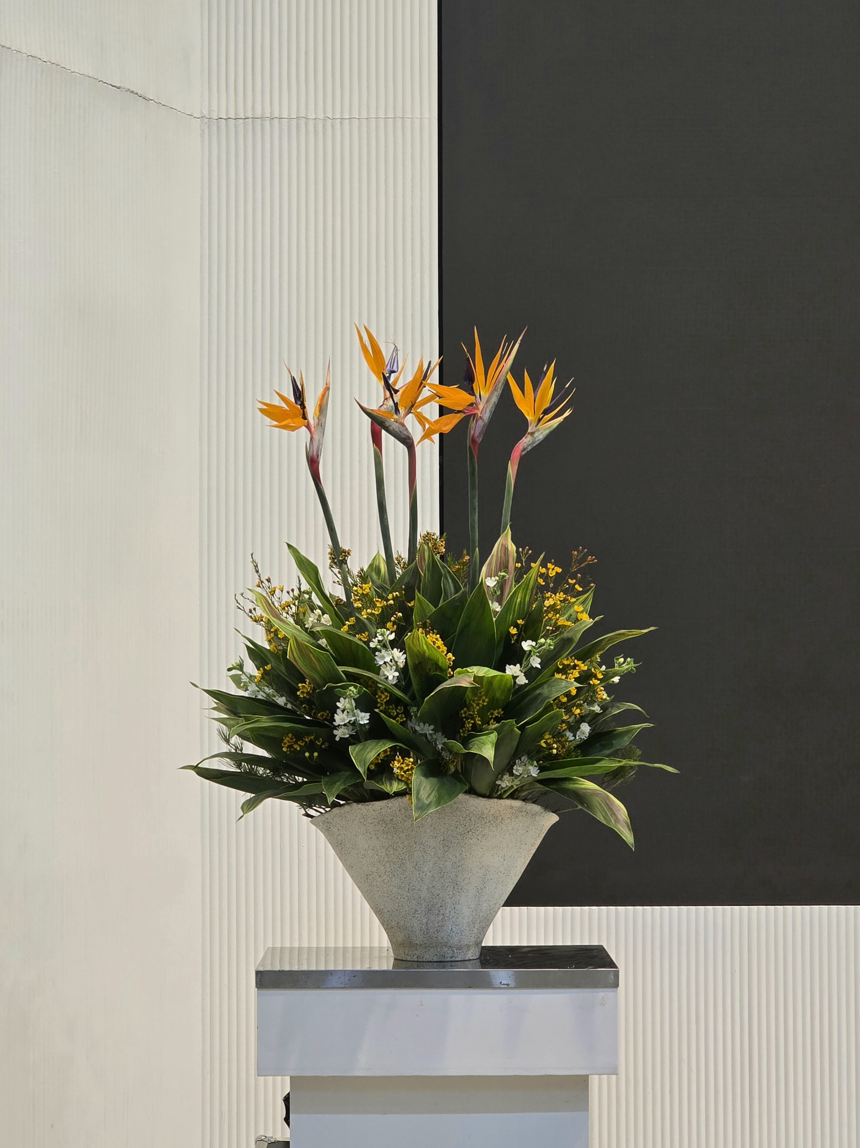 2025년 12월 넷째주 선교관